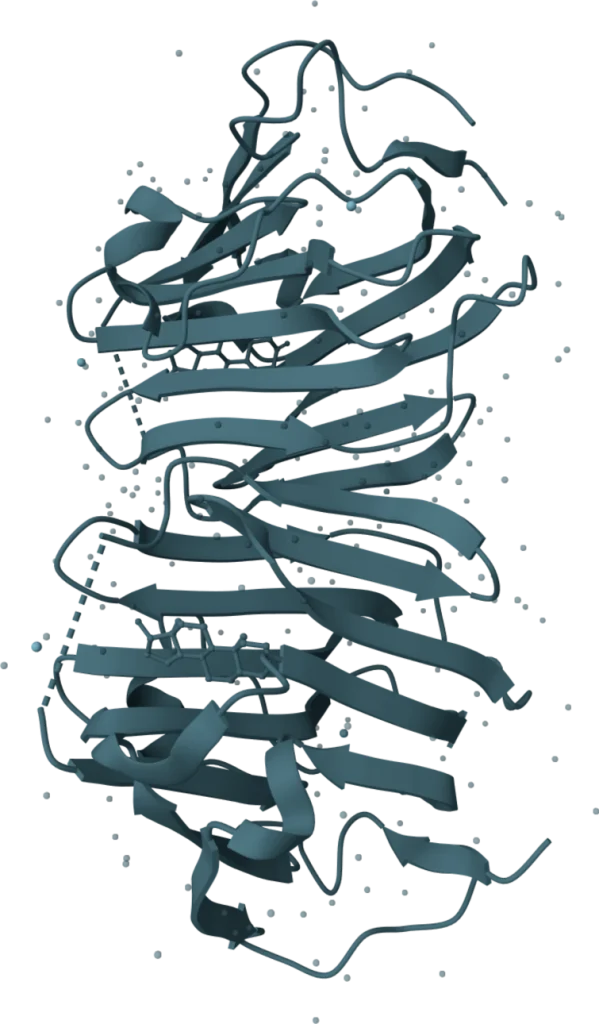 KSB Biotech VeriGold SHBG Rapid Test