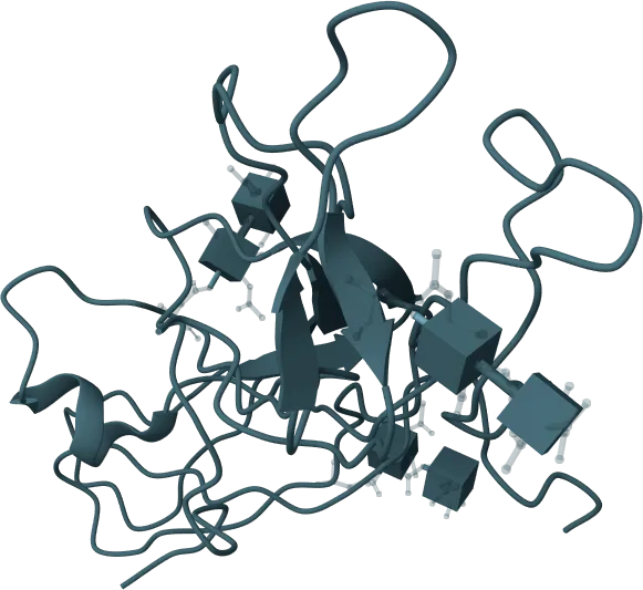 Beta-Human Chorionic Gonadotropin (β-HCG) Rapid Test