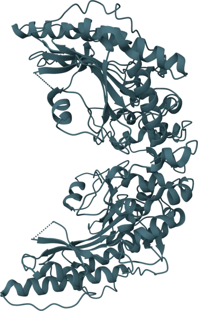 KSB Biotech VeriLumen CK-MB Rapid Test