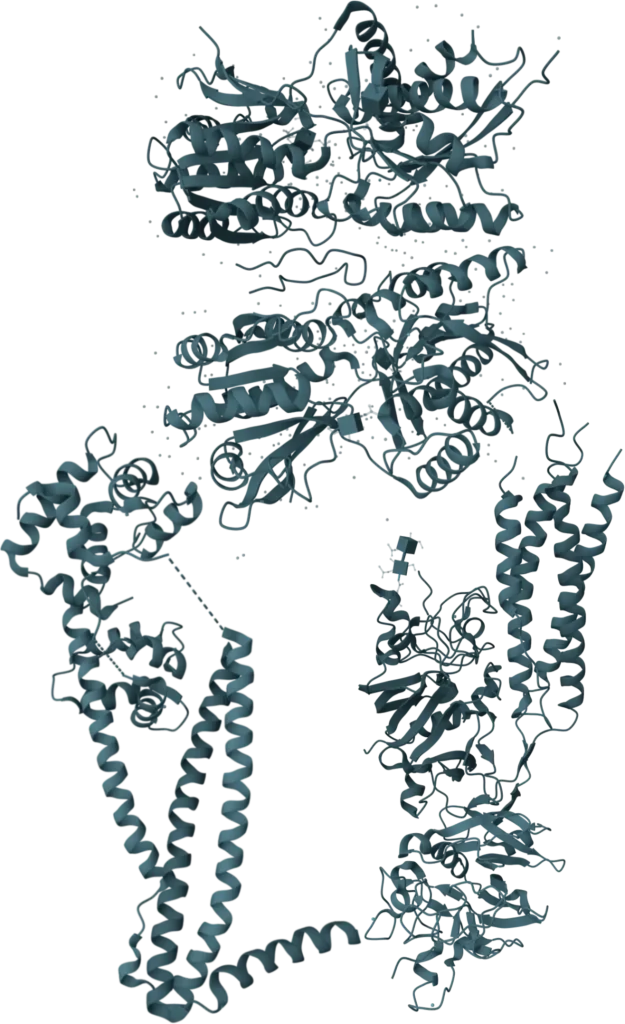 KSB Biotech cTnI+BNP+D-Dimer