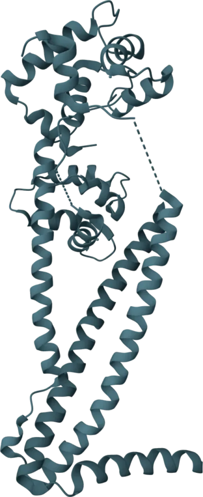 VeriLumen cTnI Rapid Test