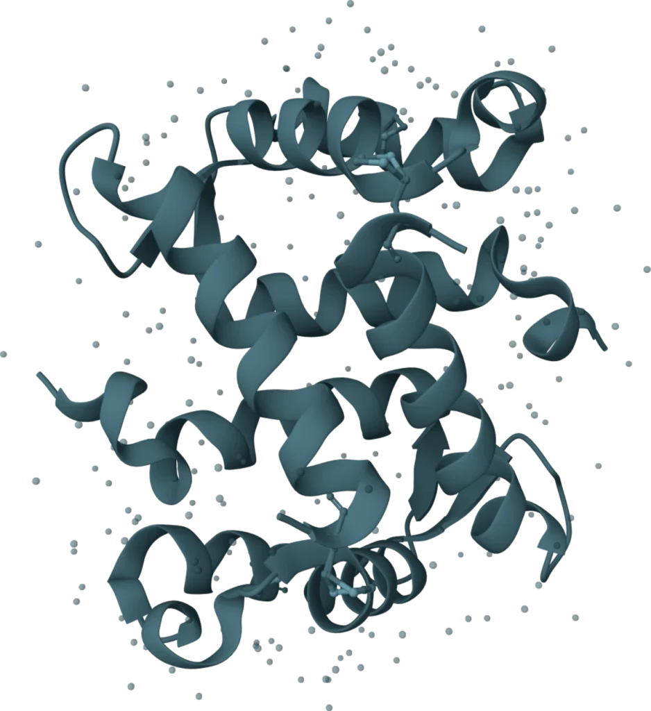 S100 β Rapid Test