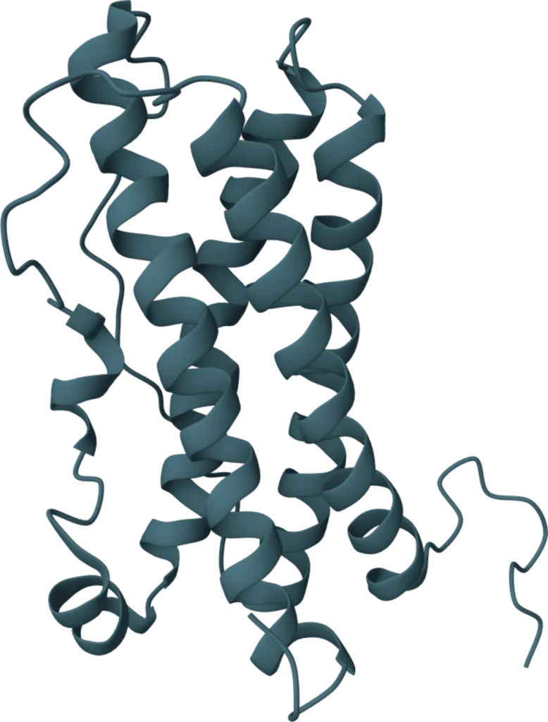 KSB Biotech VeriGold Prolactin Rapid Test