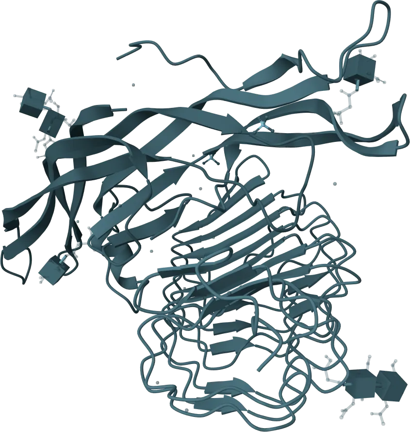 Thyroid-Stimulating Hormone (TSH) Rapid Test