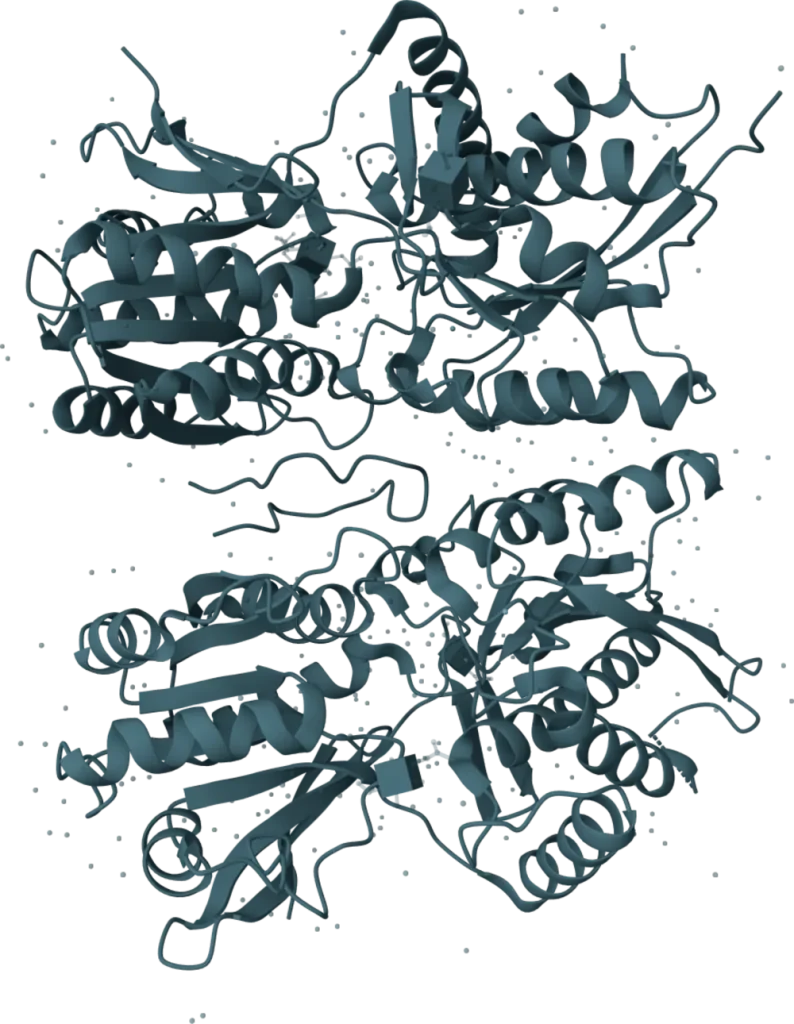 KSB Biotech VeriLumen BNP Rapid Test