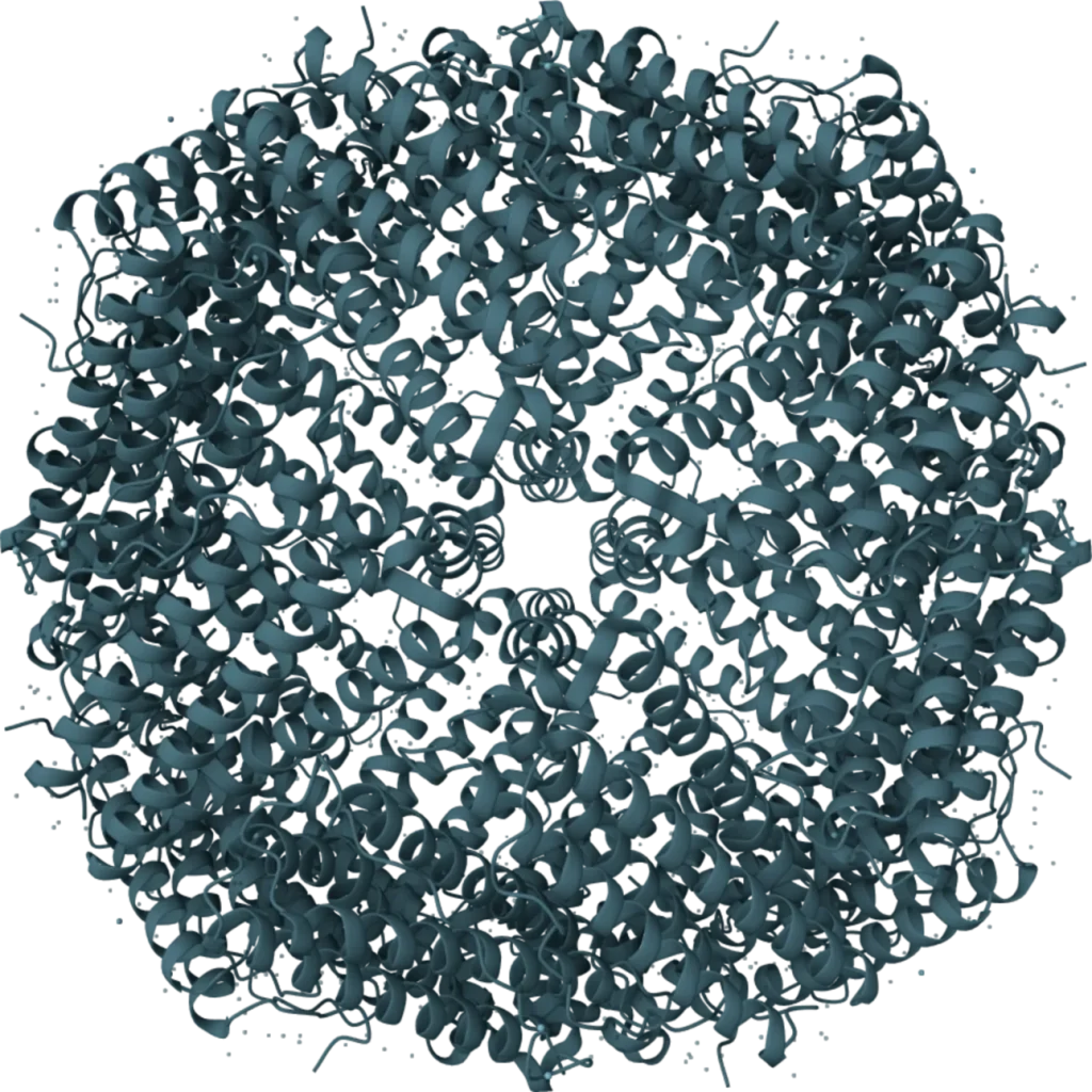 VeriGold Ferritin Rapid Test