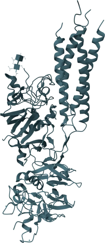 VeriLumen D-Dimer Rapid Test