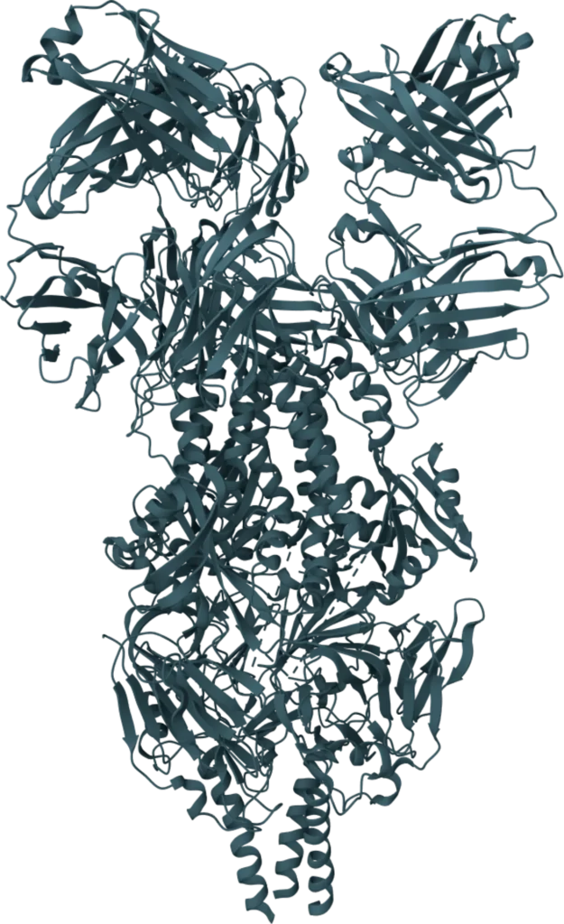 Respiratory Syncytial Virus (RSV) Rapid Test