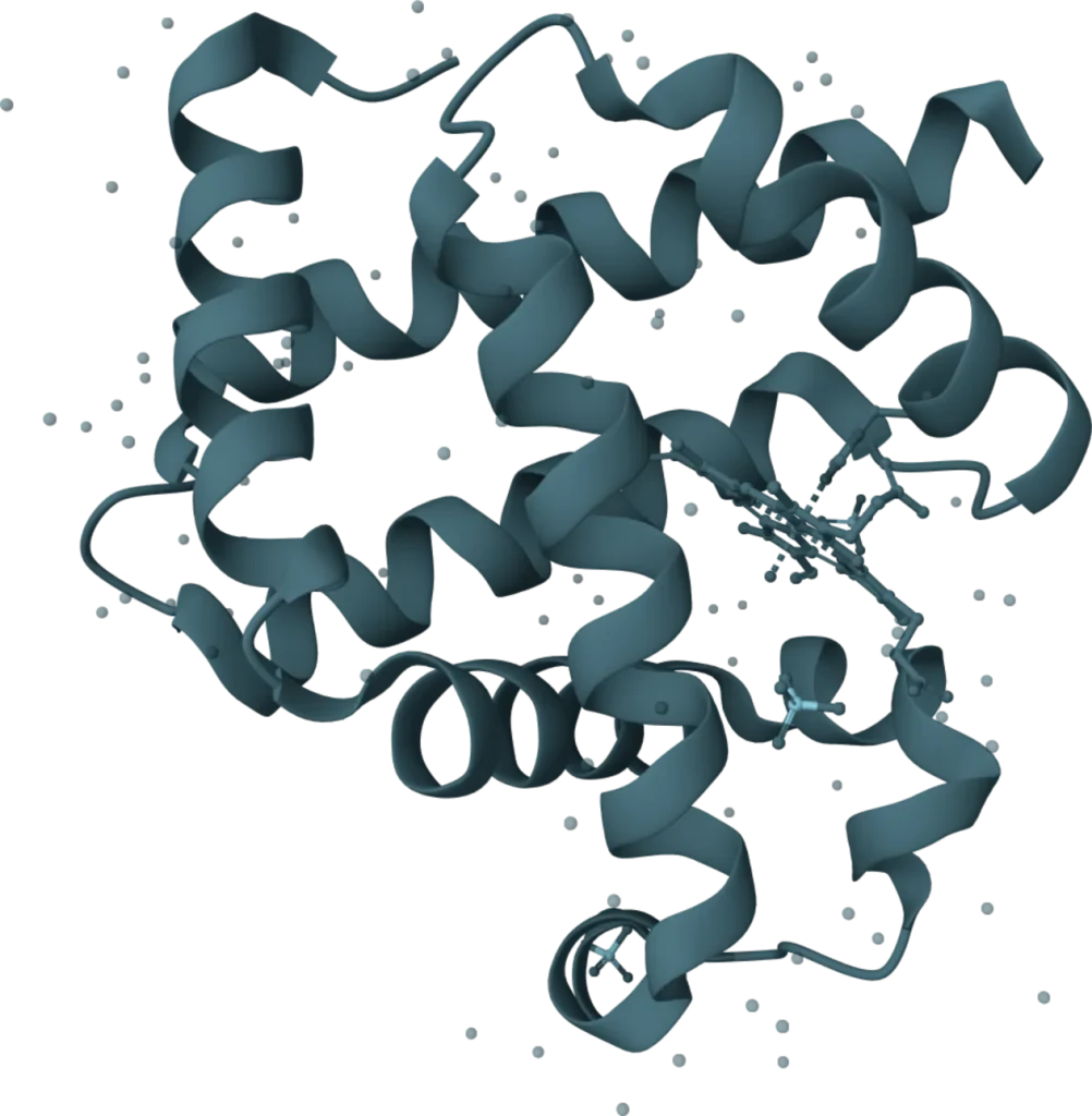 VeriLumen Myoglobin Rapid Test
