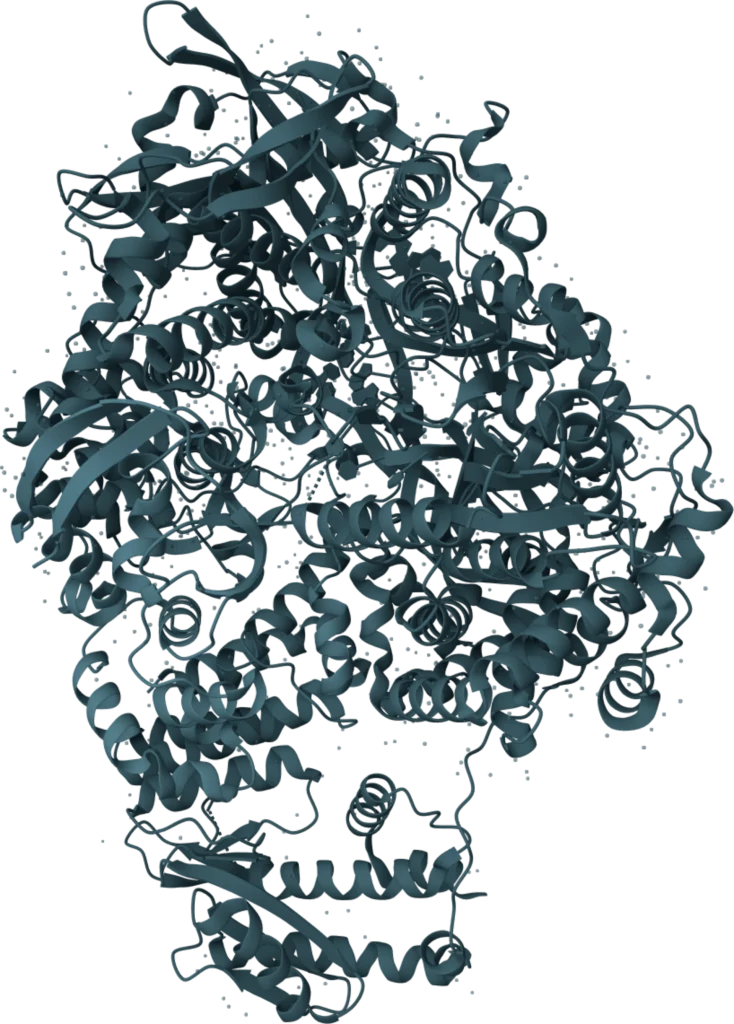 Rapid Influenza B Diagnostic Test