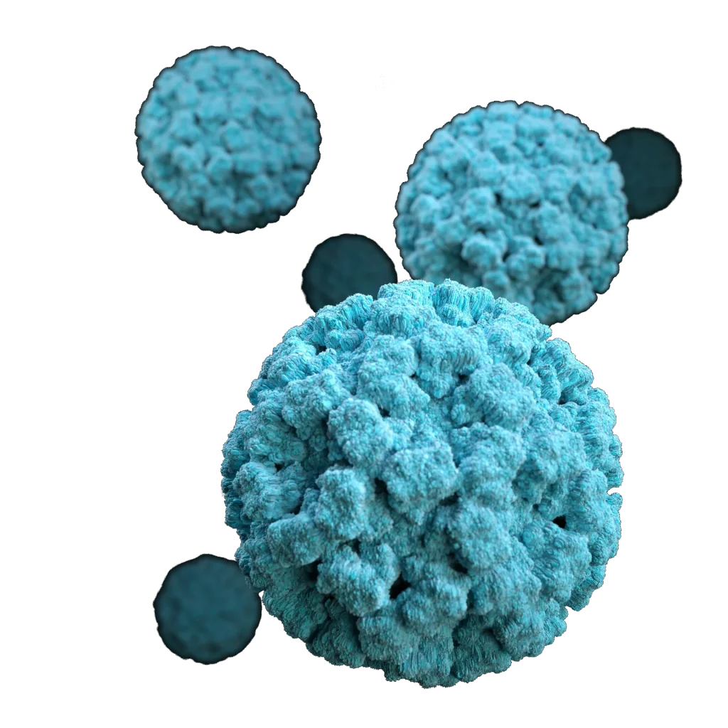 KSB Infectious Markers