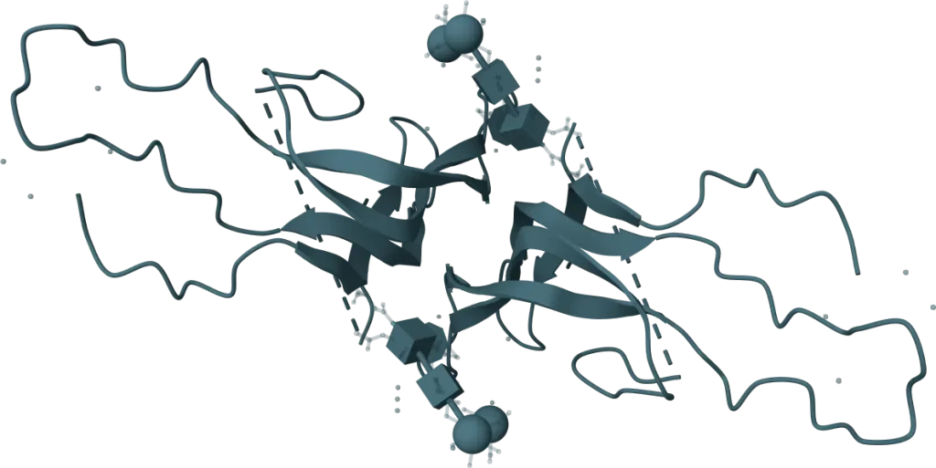 Luteinizing Hormone (LH) Rapid Test