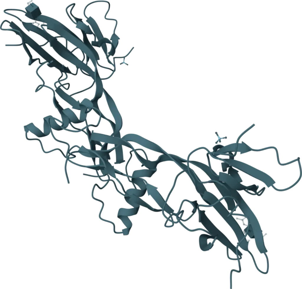 KSB Biotech VeriGold AMH Rapid Test