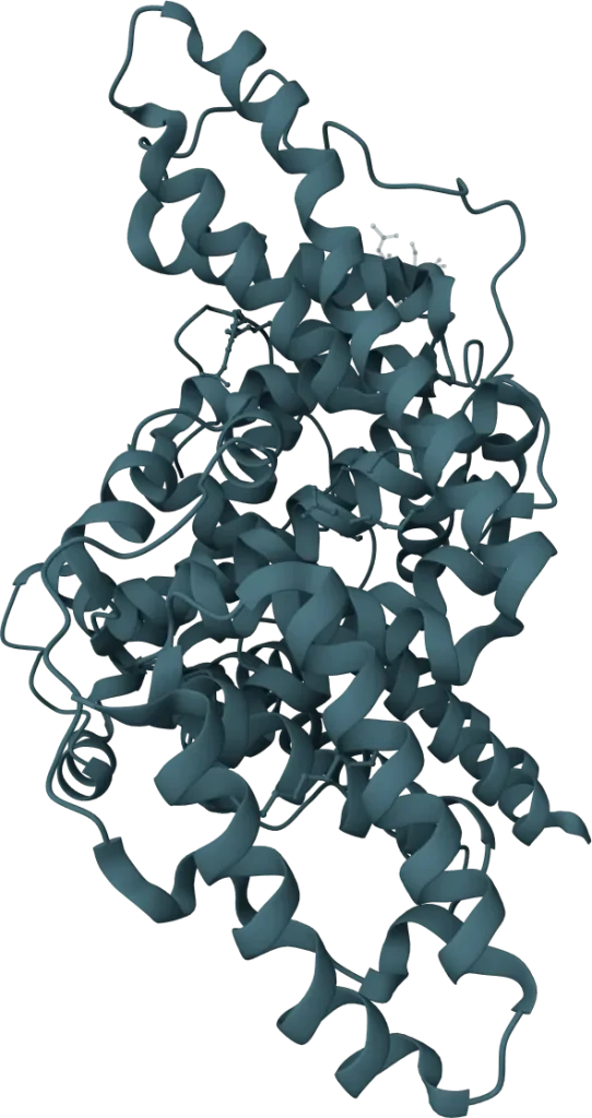 Alpha-Fetoprotein (AFP) Rapid Test