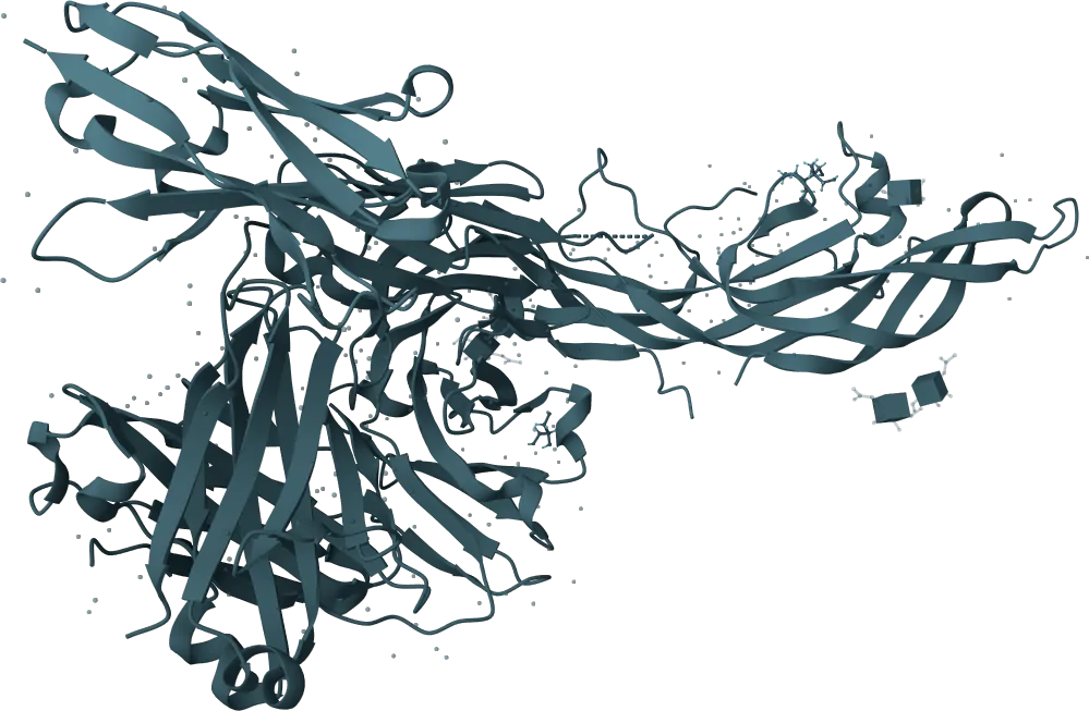 Follicle-Stimulating Hormone (FSH) Rapid Test