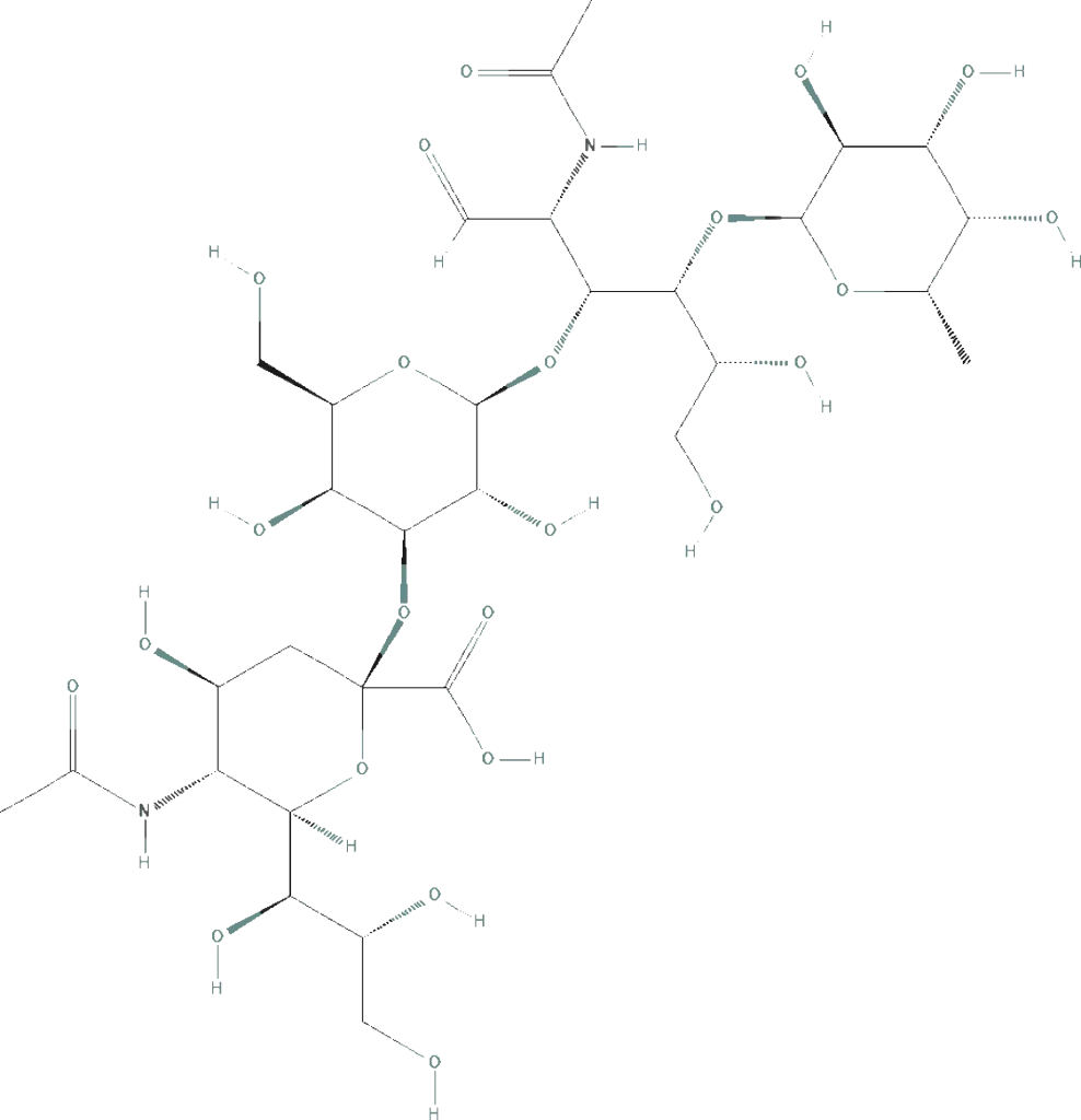 KSB Biotech