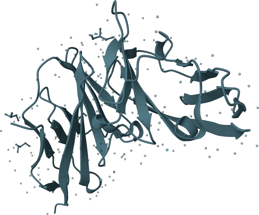 Carcinoembryonic Antigen (CEA) Rapid Test