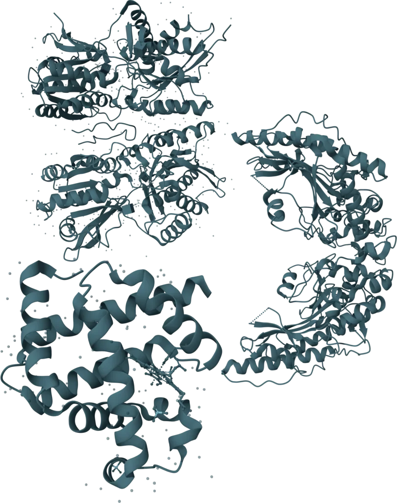 KSB BIotech VeriLumen cTnI+Myo+CK-MB Rapid Test