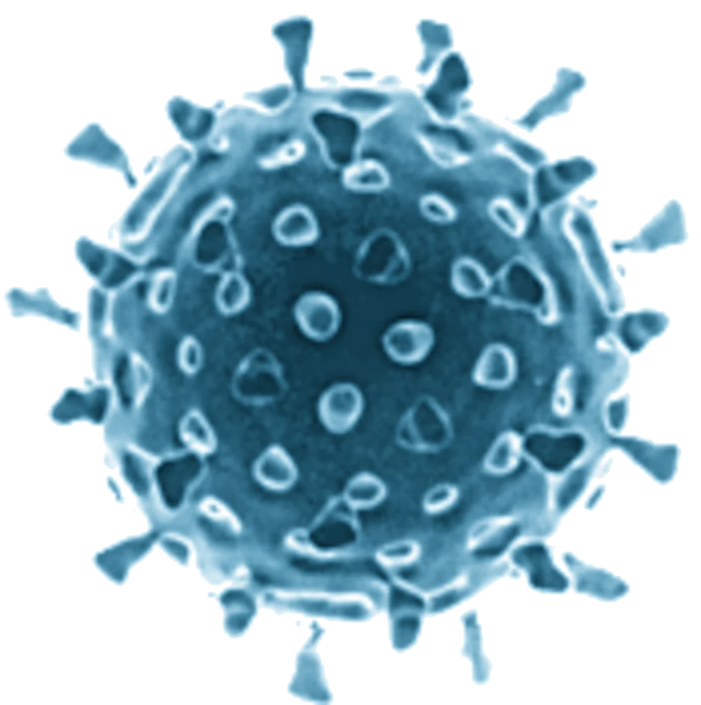 Rotavirus Rapid Test