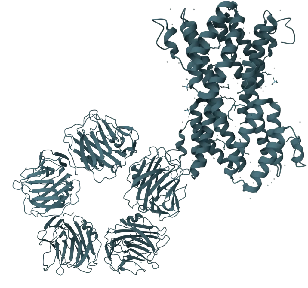 KSB Biotech CRP+SAA Rapid Test