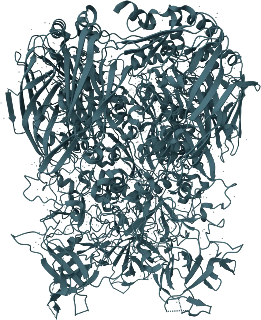 KSB Biotech Adenovirus Rapid Test