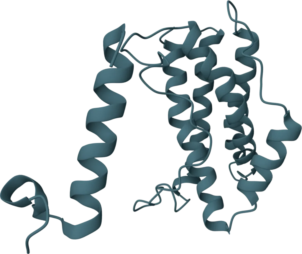 KSB Biotech PCT+IL-6 Rapid Test