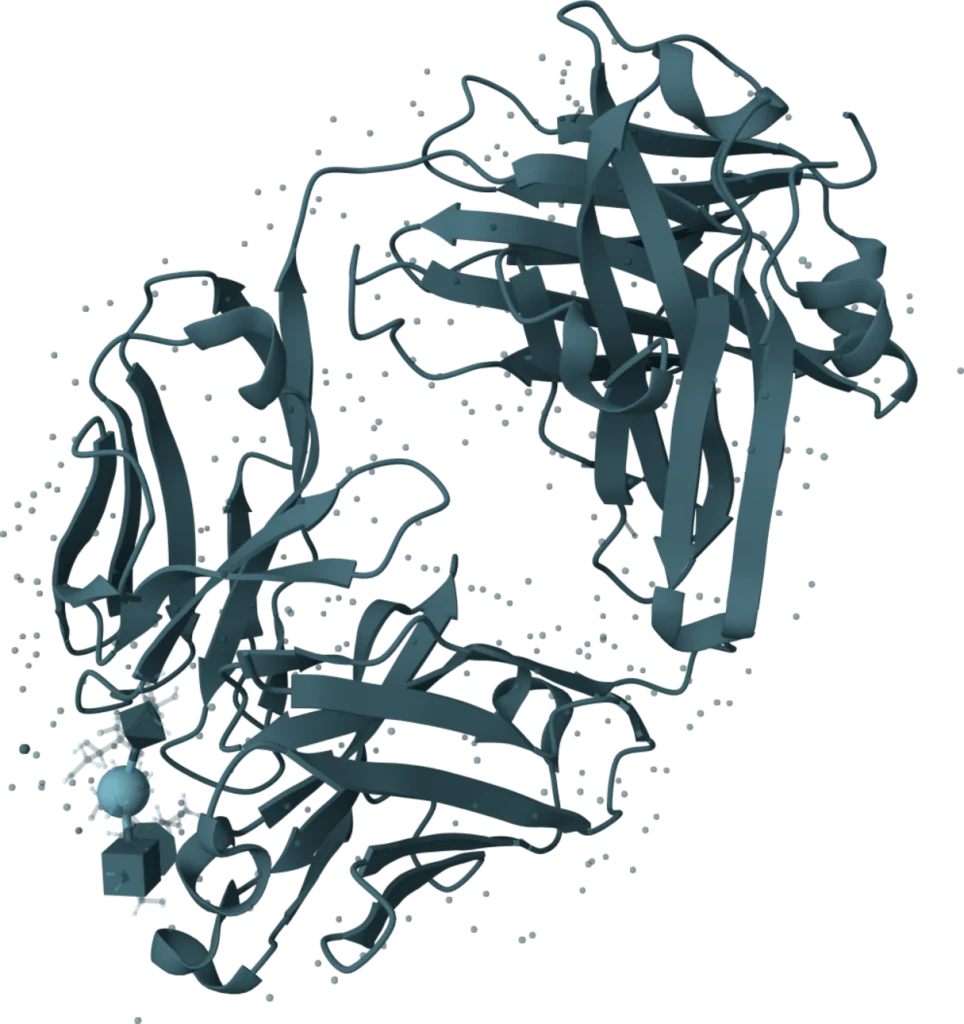 KSB Biotech CA19-9 Rapid Test