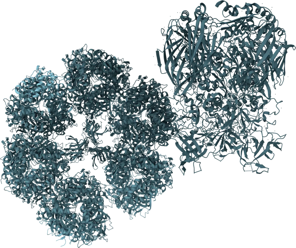 KSB Biotech Rotavirus & Adenovirus Rapid Test