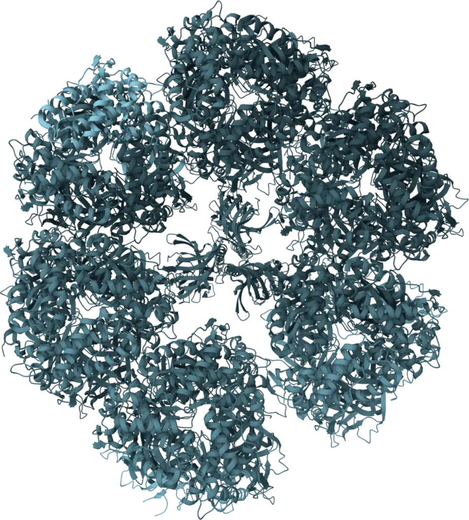 KSB Biotech Rotavirus Rapid Test