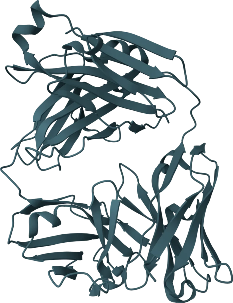 KSB Biotech CA15-3 Rapid Test