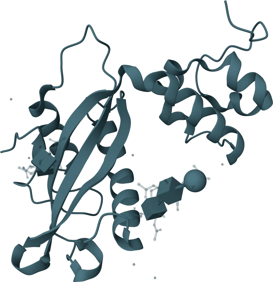 KSB Biotech CA125 Rapid Test