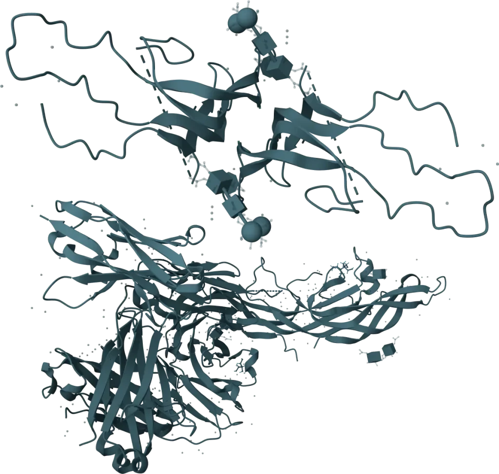 KSB Biotech LH & FSH Rapid Test